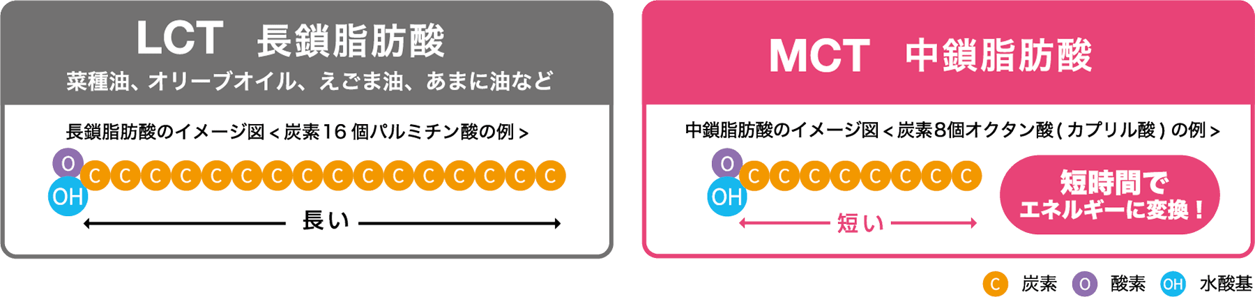 LCT（長鎖脂肪酸）とMCT（中鎖脂肪酸）の特徴の比較