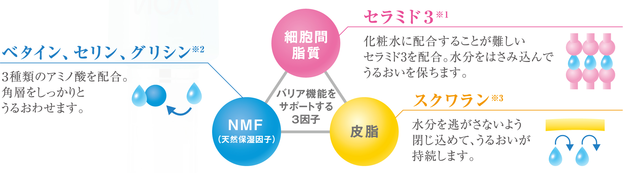 9月4日】敏感肌のための低刺激性化粧品『ノブ』のⅢシリーズから